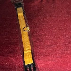 6/$20 Extra small dog led collar